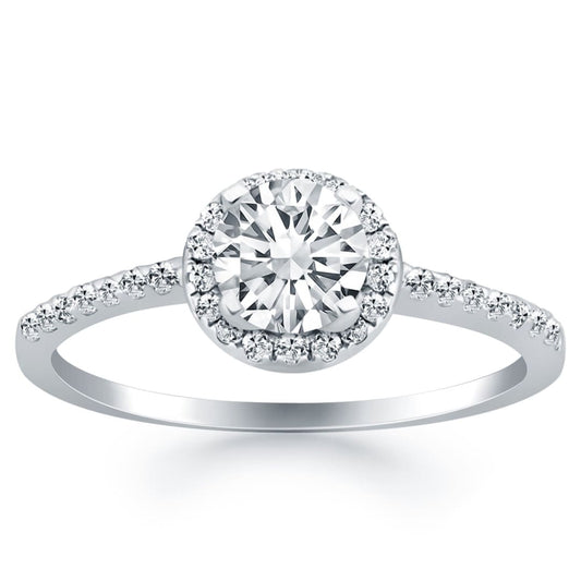 14k White Gold Diamond Halo Collar Engagement Ring | Richard Cannon Jewelry