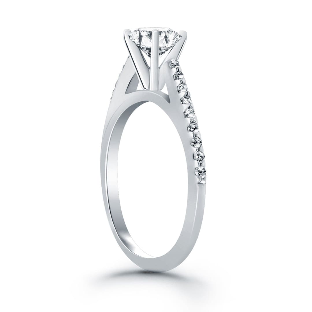 14k White Gold Micro Prong Diamond Cathedral Engagement Ring | Richard Cannon Jewelry