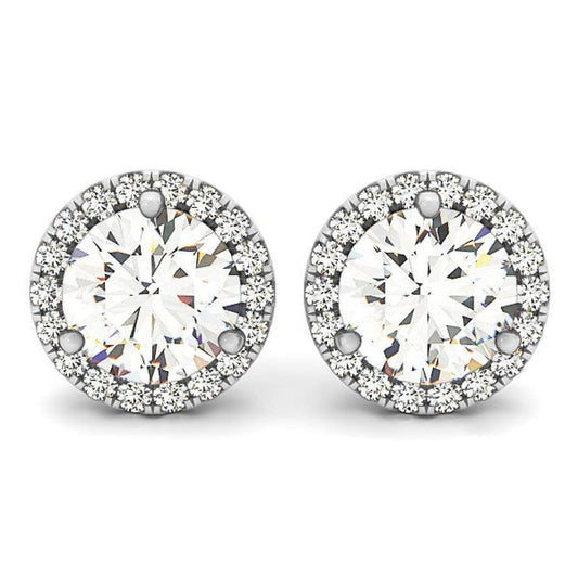 14k White Gold Round Prong Halo Style Earrings (1 cttw) | Richard Cannon Jewelry