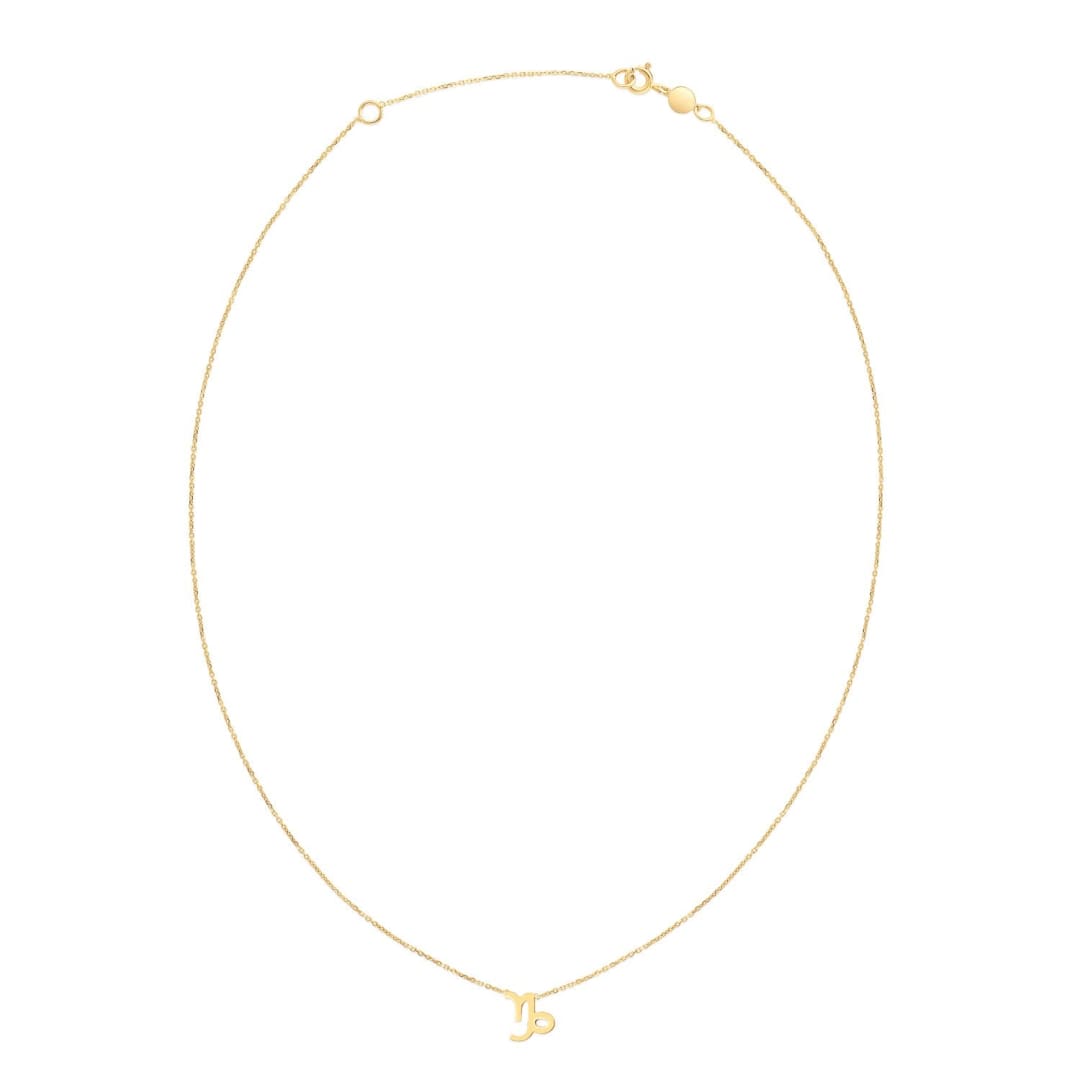 14K Yellow Gold Capricorn Necklace | Richard Cannon Jewelry