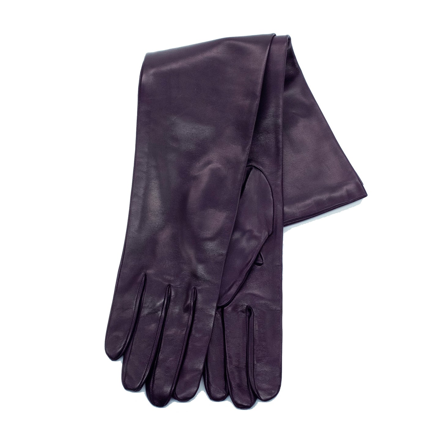 OPERA LENGTH LEATHER GLOVES-1